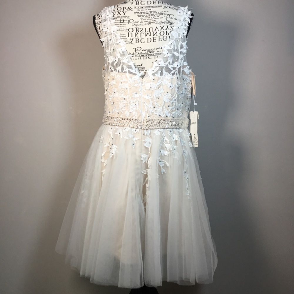 NWT blush pink and white embroidery leaf toile Hebeos short wedding dress 18/20W - Picture 4 of 9